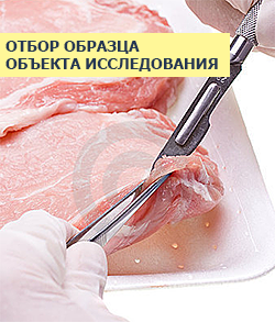 Метод добавок при анализе пищевых продуктов